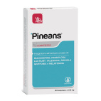 PINEANS 20 COMPRESSE