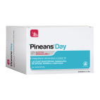 PINEANS DAY 30 BUSTINE OROSOLUBILI