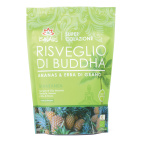 RISVEGLIO BUDDHA ANAN&amp;ERBA GAN