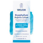 Weleda Bryophyllum Argento Cultum D2 50ml