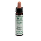 /i/m/image_3508.jpg