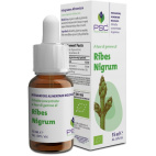 Psc Ribes Nigrum gocce 15ml - Forza Vitale