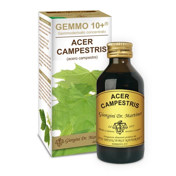 Dr. Giorgini Gemmo 10+ Acero Campestre 100 Ml Liquido Analcolico - Immagine 6