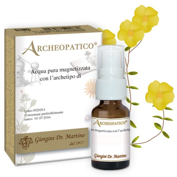 Giorgini Aletris Farinosa 30 Ca - Integratore per il benessere generale 10 ml - Immagine 4
