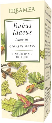 Rubus Idaeus Lampone 50ml Erbamea