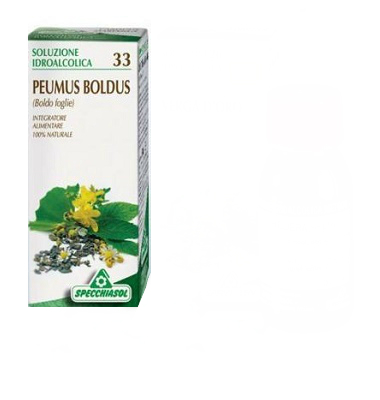 Boldo 33 Tintura Madre 50ml