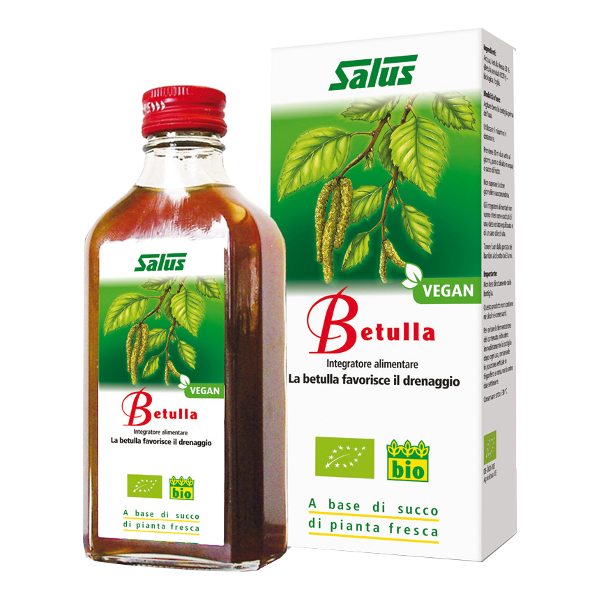 BETULLA SUCCO S/ALC 200ML