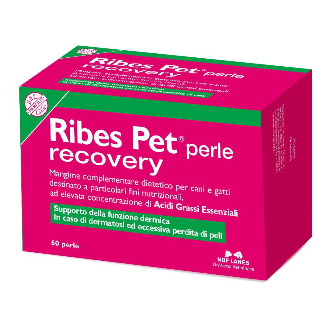 N.b.f. Lanes Ribes Pet Recovery Cane E Gatto 60 Perle - Immagine 7