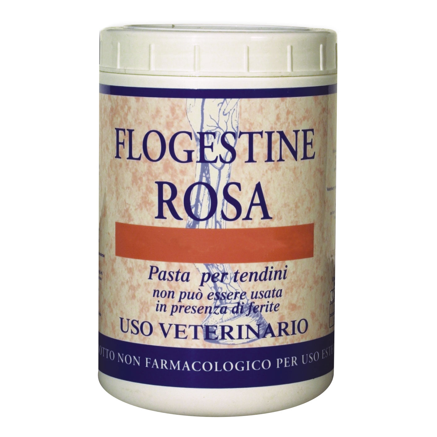 FLOGESTINE ROSA PASTA 1KG - Immagine 7