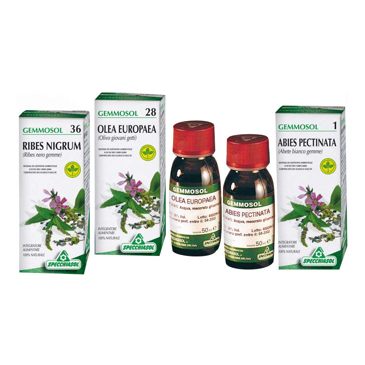 Specchiasol Sp.ippocastano 3 Gemmosol 50Ml - Immagine 3