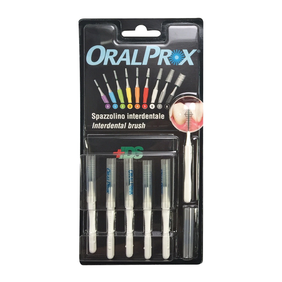 ORALPROX Kit Prova 6 Misure
