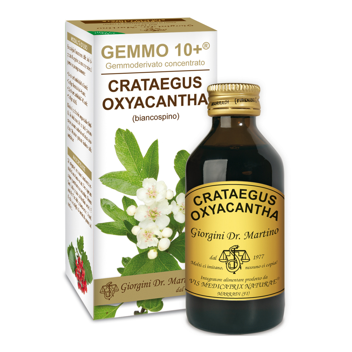 Dr. Giorgini Dr Giorgini Gemmo 10+ Biancospino Integratore Per Difese Immunitarie 100Ml - Immagine 6