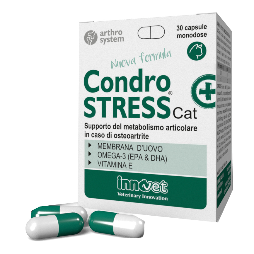 INNOVET Condrostress + Cat 30 capsule - Mangime complementare per l'osteoartrite nei gatti - Immagine 4