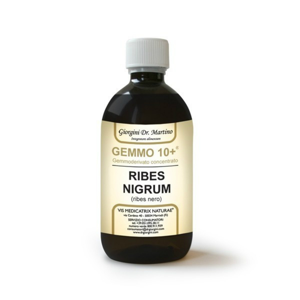 Ribes Nigrum (Ribes Nero) Gemmo10+ 500ml Giorgini - Immagine 1