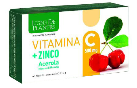 Natura Service Vitamina C + Zinco Acerola Integratore Energizzante 60 Capsule - Immagine 5