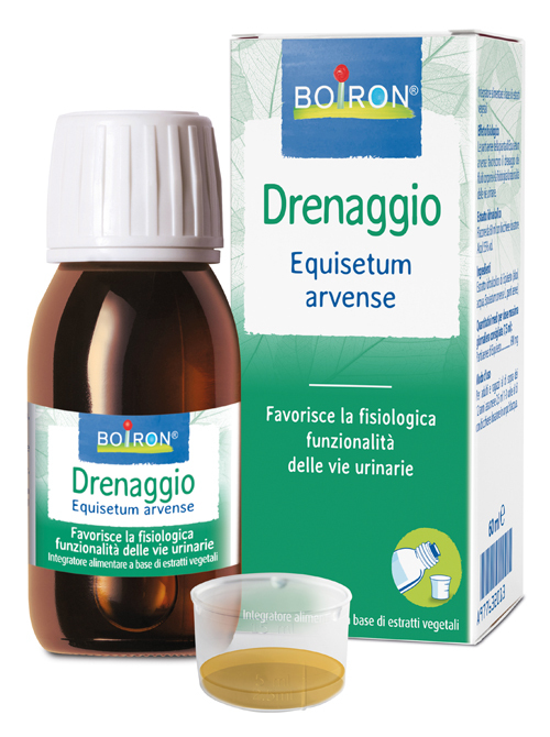 EQUISETUM ARV EI 60ML INT