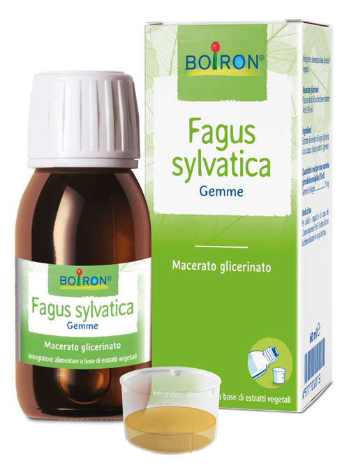 Fagus Sylvatica Macerato Glicerico 60ml Boiron