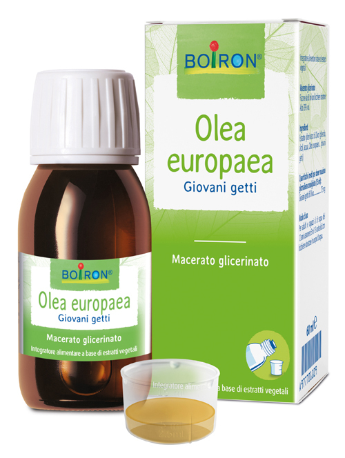 OLEA EUROPAEA MG 60ML INT BO - Immagine 5