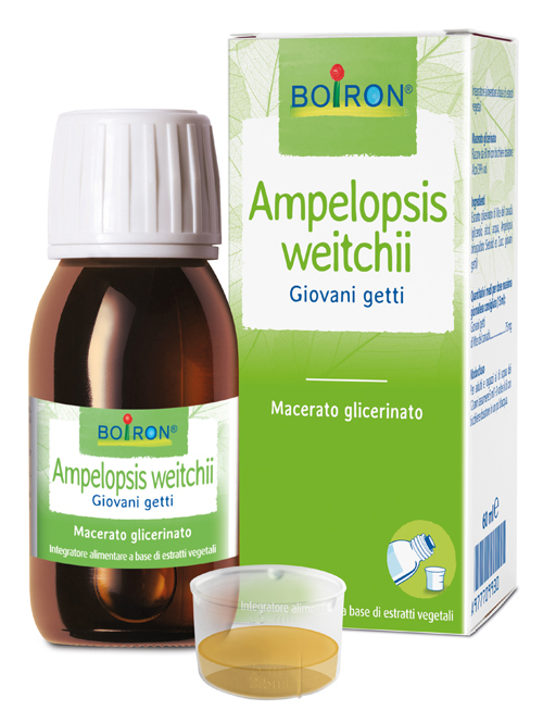 Ampelopsis Wei Macerato Glicerico 60ml Borion