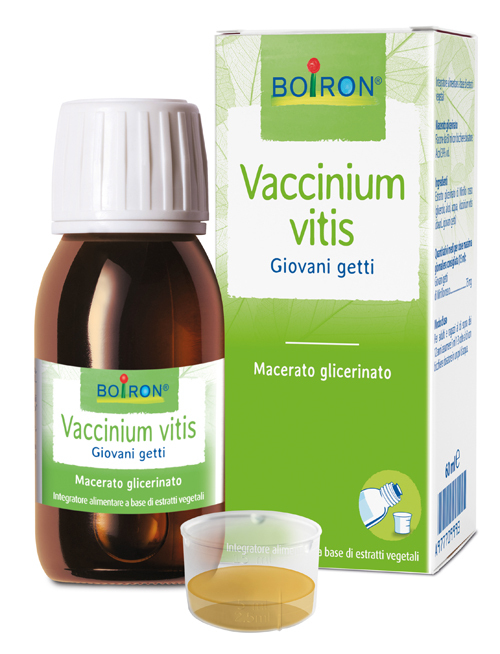 Boiron Vaccinium Vitis 60 ml - Macerato Glicerinato - Immagine 4