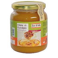 Miele di eucalipto bio 500g - Immagine 4