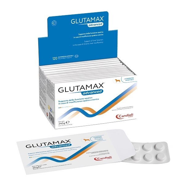Candioli Pharma Glutomax Advanced Supporto della funzione epatica cronica Compresse per cani 120 compresse - Integratori per cani - 1° ORDINE? scegli tra BZR5 - BZR20 + 200 pt fedeltà - Immagine 3
