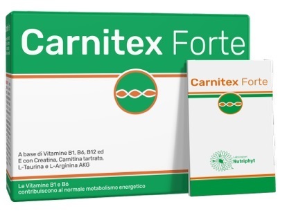 CARNITEX FORTE 14BUST - Immagine 6