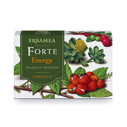 FORTE ENERGY 24CPR - Immagine 3