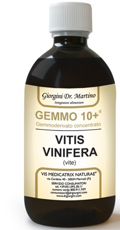Giorgini Gemmo 10+ Vite Liquido Analcolico 100 Ml - Immagine 2