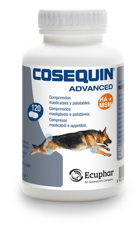 ECUPHAR Cosequin Advanced - Mangime complementare per cani e gatti di tutte le età 120 compresse - Immagine 4