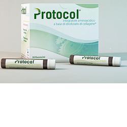 PROTOCOL 10G - INTEGRATORE AMINOACIDICO A BASE DI IDROLIZZATO DI COLLAGENE - Immagine 3
