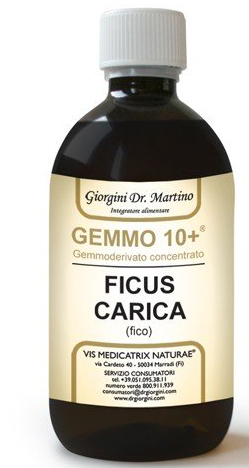 Dr. Giorgini Gemmo 10+ Fico Liquido Analcolico 500 Ml - Immagine 7
