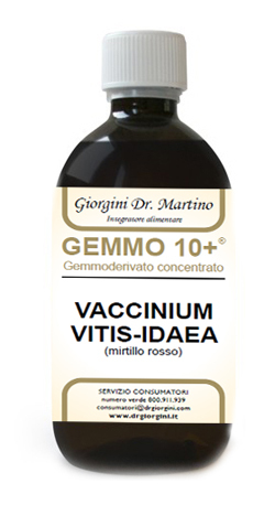 Mirtillo Rosso Gemme 10+ - Integratore per il benessere generale 500 ml - Immagine 3