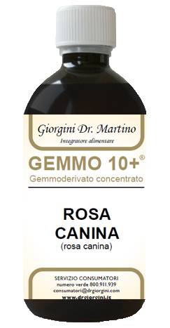 Dr. Giorgini Rosa Gemmo 10+ Canina Liquido Analcolico 500 Ml - Immagine 6