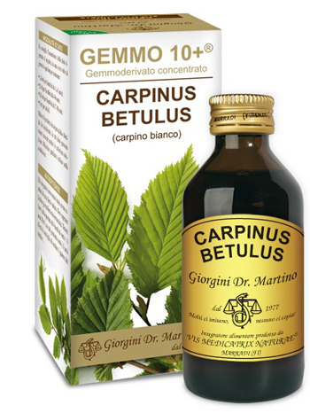 Dr. Giorgini Bianco Gemmo 10+ Carpino 100 Ml Liquido Analcolico - Immagine 7
