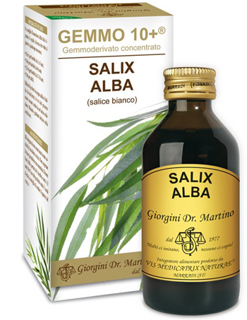 Dr. Giorgini Bianco Dr Giorgini Gemmo 10+ Salice Integratore Per Vie Urinarie 100Ml - Immagine 6