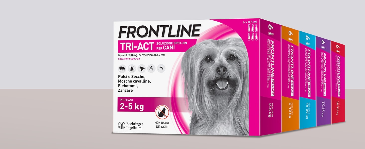 Immagine di Frontline Tri-Act per cani in tutti i formati.