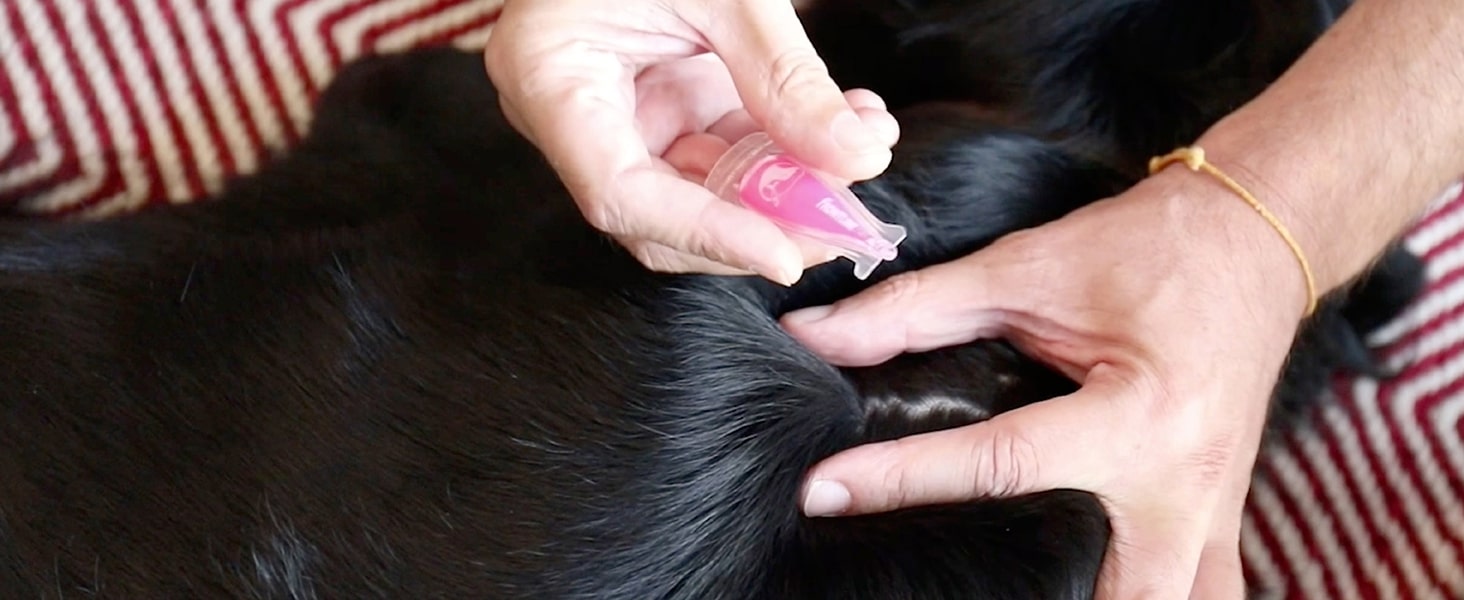 Foto di una persona che applica Frontline tri-act per cani ad un animale