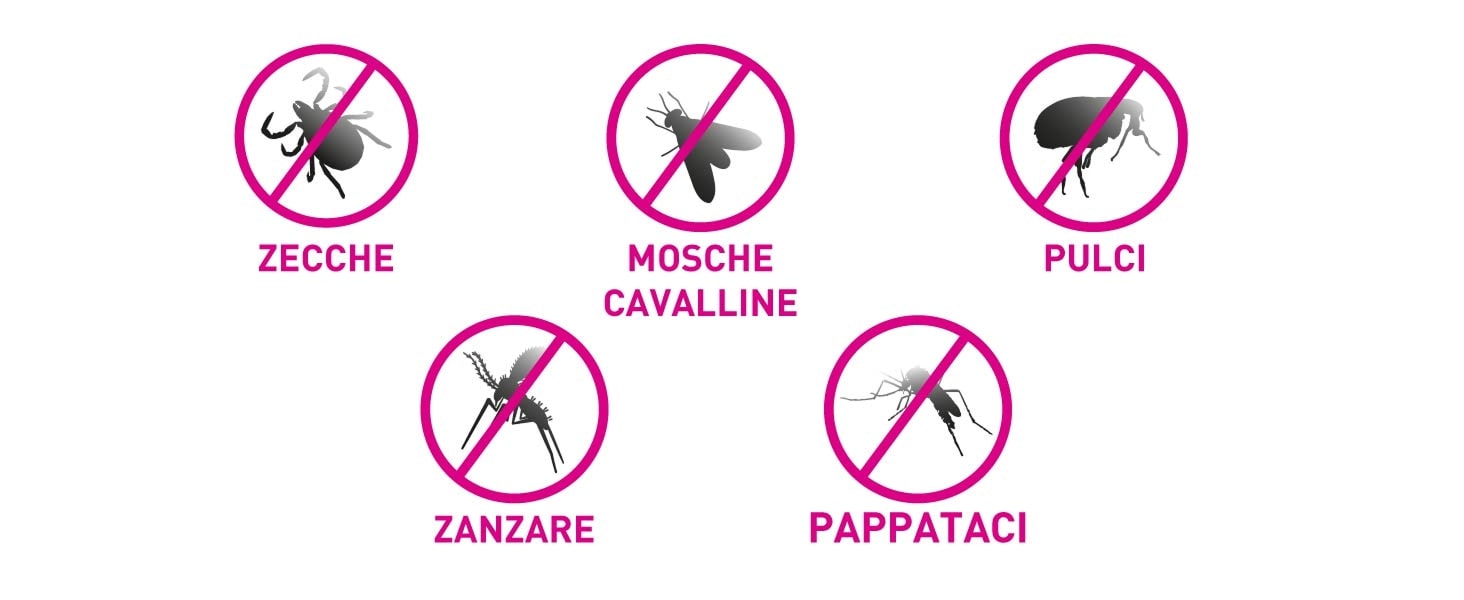 Infografica con tutti gli insetti da cui Frontline tri-act cani protegge il nostro animale.