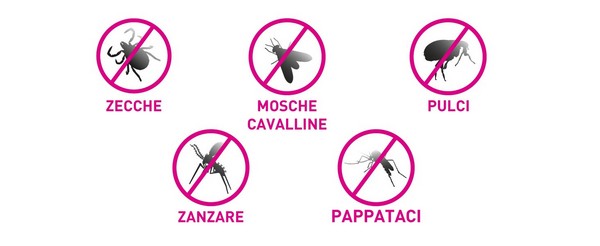 Infografica con tutti gli insetti da cui Frontline tri-act cani protegge il nostro animale.