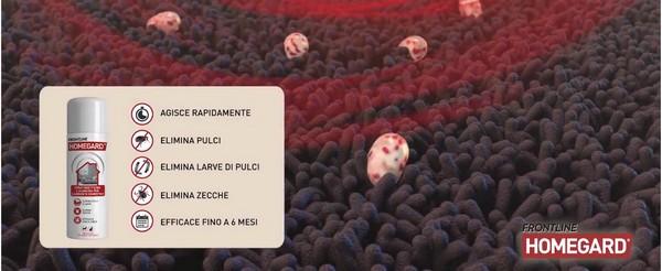 Foto di una persona che applica Frontline tri-act per cani ad un animale