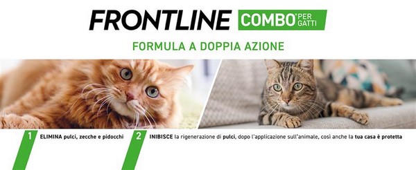 Inforgrafica che mostra le funzionalit&agrave; di Frontline Combo per gatti 