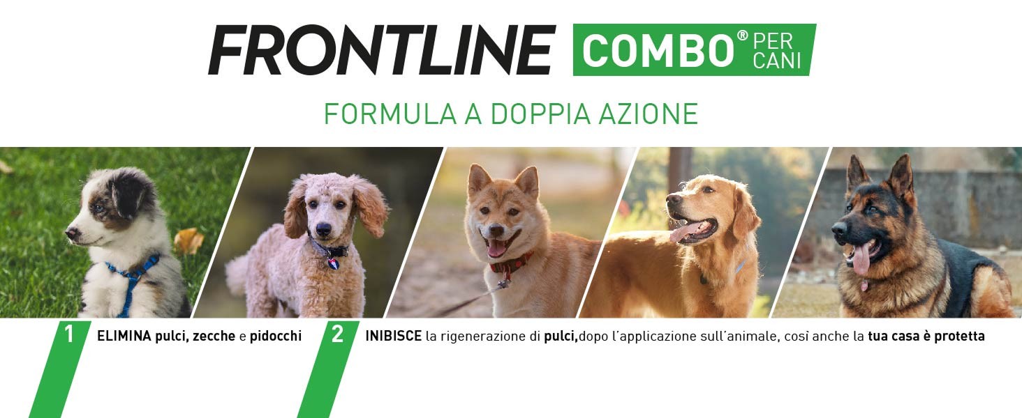 Infografica su Frontline triact per cani con spiegazione funzionalit&agrave; del farmaco.