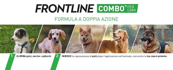 Infografica su Frontline triact per cani con spiegazione funzionalit&agrave; del farmaco.