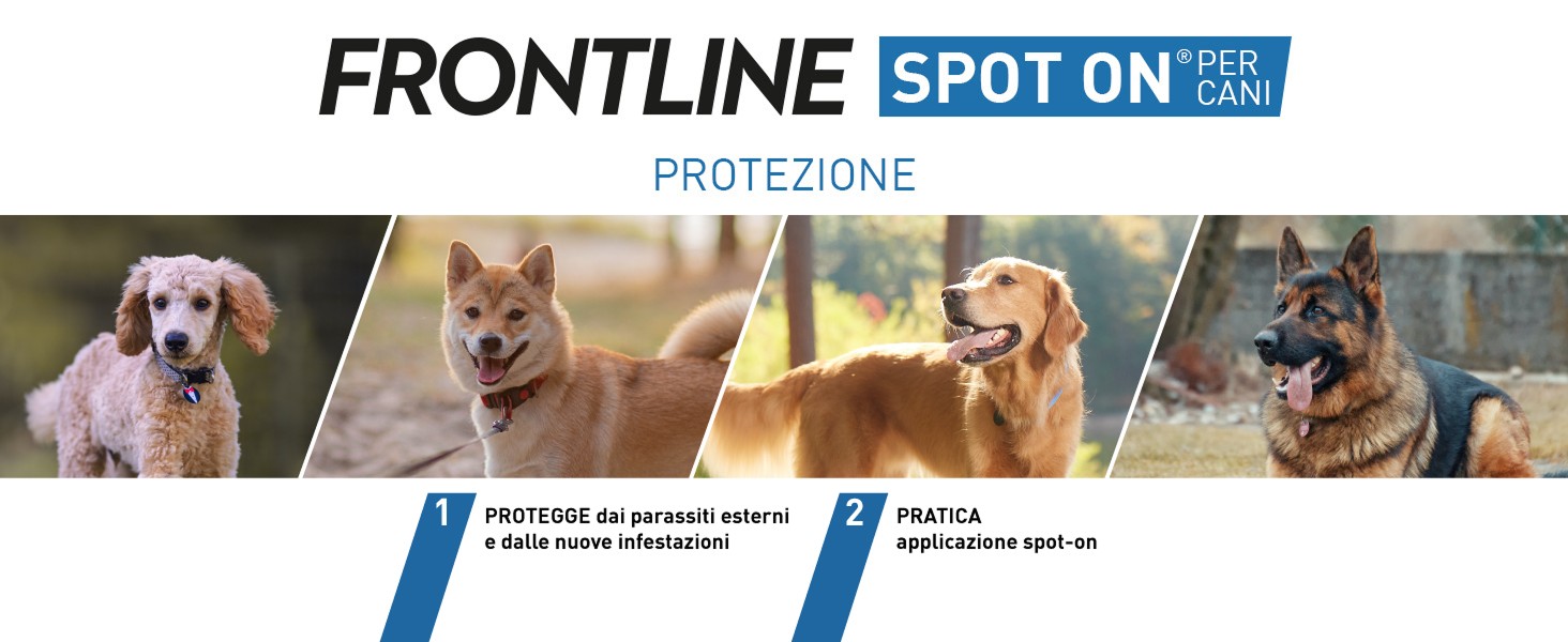 Infografica su Frontline triact per cani con spiegazione funzionalit&agrave; del farmaco.