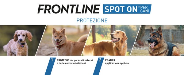 Infografica su Frontline triact per cani con spiegazione funzionalit&agrave; del farmaco.