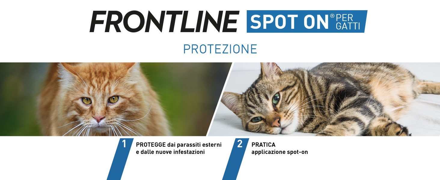 Infografica su Frontline triact per cani con spiegazione funzionalit&agrave; del farmaco.