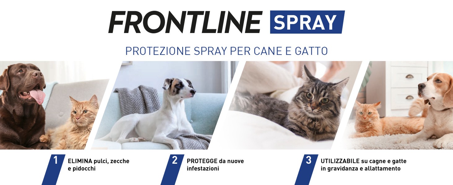 Infografica su Frontline triact per cani con spiegazione funzionalit&agrave; del farmaco.