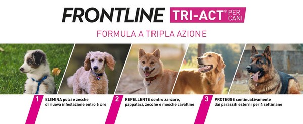 Infografica su Frontline triact per cani con spiegazione funzionalit&agrave; del farmaco.
