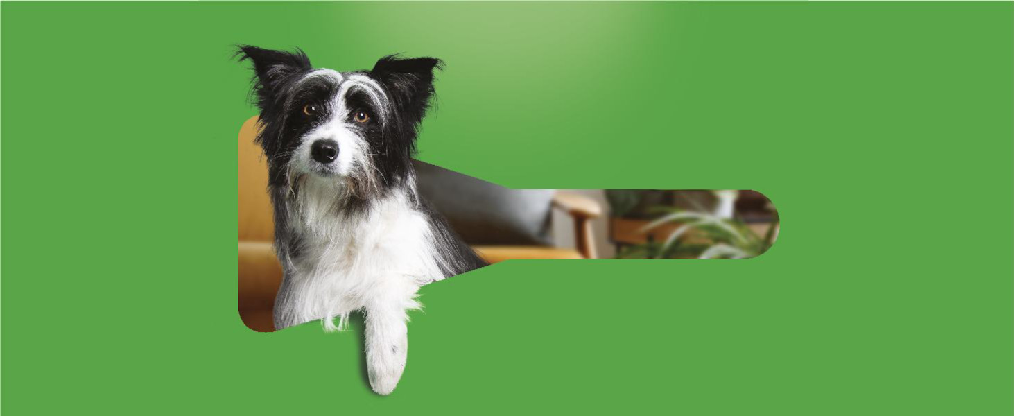 Immagine di una donna con il suo cane in una grafica a forma di provetta del prodotto